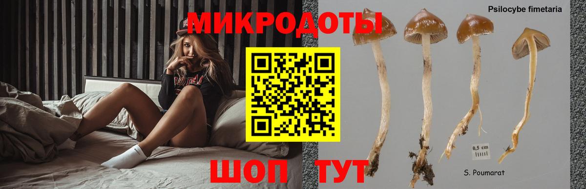 Псилоцибиновые грибы GOLDEN TEACHER  Галлюциногенные грибы Psilocybe  Балтийск  Вход с VPN 